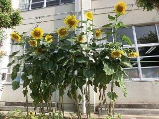 始業式 始業式