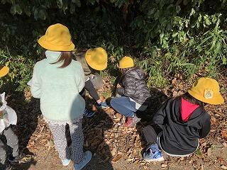 秋見つけ 秋見つけ