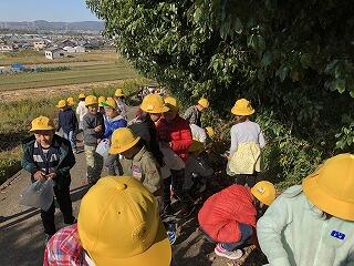 秋見つけ 秋見つけ