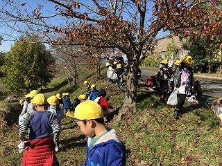 秋見つけ 秋見つけ