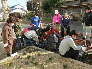 花植え 花植え