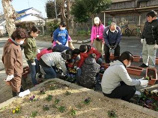 花植え