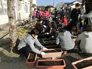 花植え