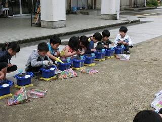 あさがお あさがお
