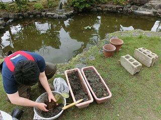 ビオトープ ビオトープ