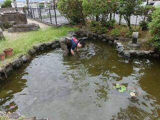 ビオトープ ビオトープ