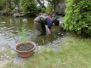 ビオトープ ビオトープ