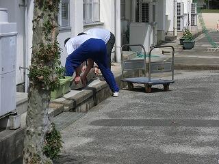 ゴーヤ日記 ゴーヤ日記