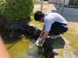ビオトープ ビオトープ