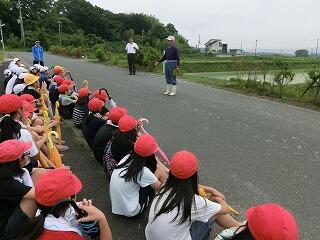 田植え 田植え