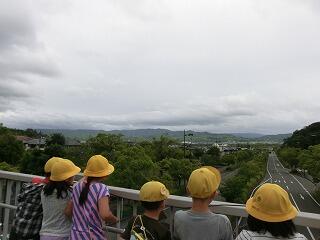 市内めぐり 市内めぐり