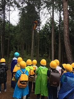 木登りを見せてもらって驚きです。