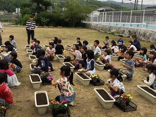 いよいよ植え方の説明です。 いよいよ植え方の説明です。