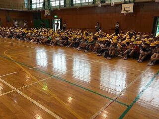 とても整然と並べています。 とても整然と並べています。