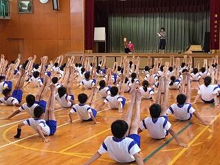 揃っています。 揃っています。