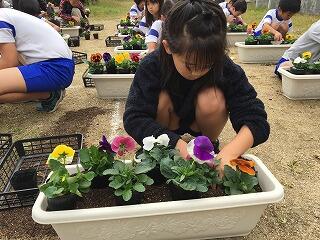 これでいいかなぁ? これでいいかなぁ?