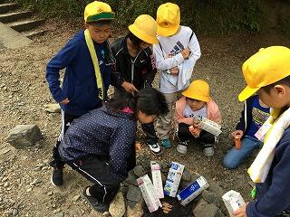 牛乳パックに詰め込み、燃やします。