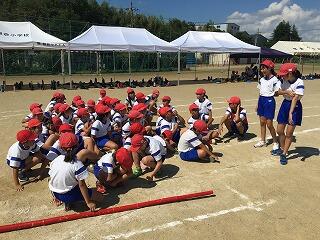 ファイリーハリケーンの作戦タイム ファイリーハリケーンの作戦タイム