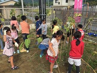 茎がトゲトゲしてるね。