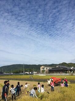 秋空が気持ちいいです。 秋空が気持ちいいです。