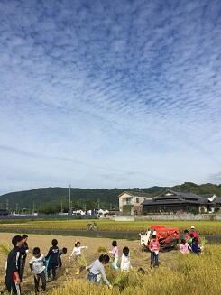 秋空が気持ちいいです。