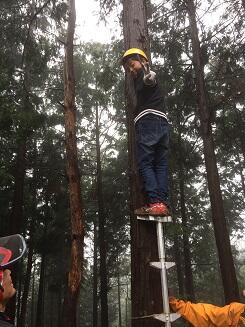 木登り体験 木登り体験