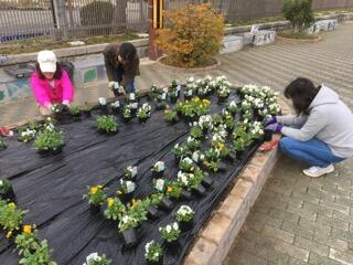今回は何の形でしょう? 今回は何の形でしょう?