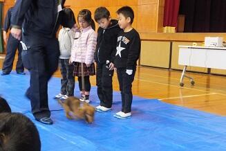 イヌとの関わり方。じっとしてるんだよ。 イヌとの関わり方。じっとしてるんだよ。