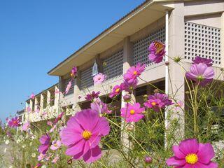 梅美台小学校